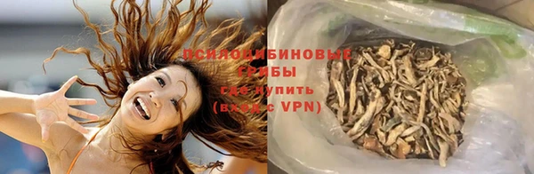 СК Абдулино