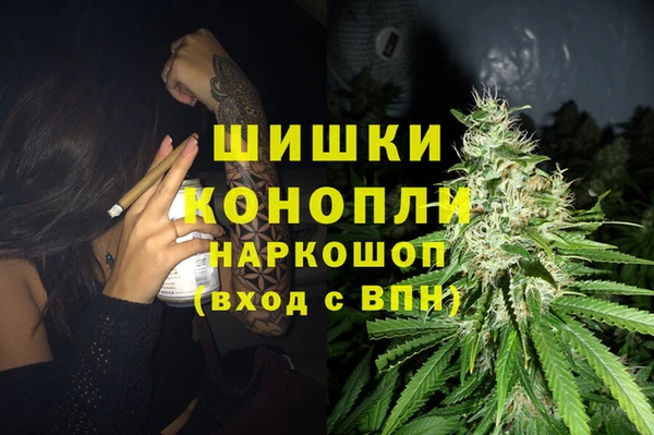 дурь Алзамай