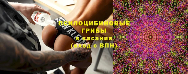спайс Алексин