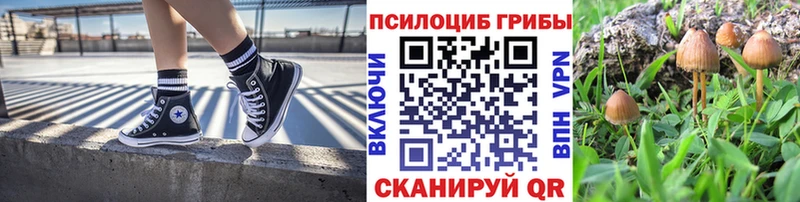 как найти закладки  Калач  Галлюциногенные грибы Magic Shrooms 
